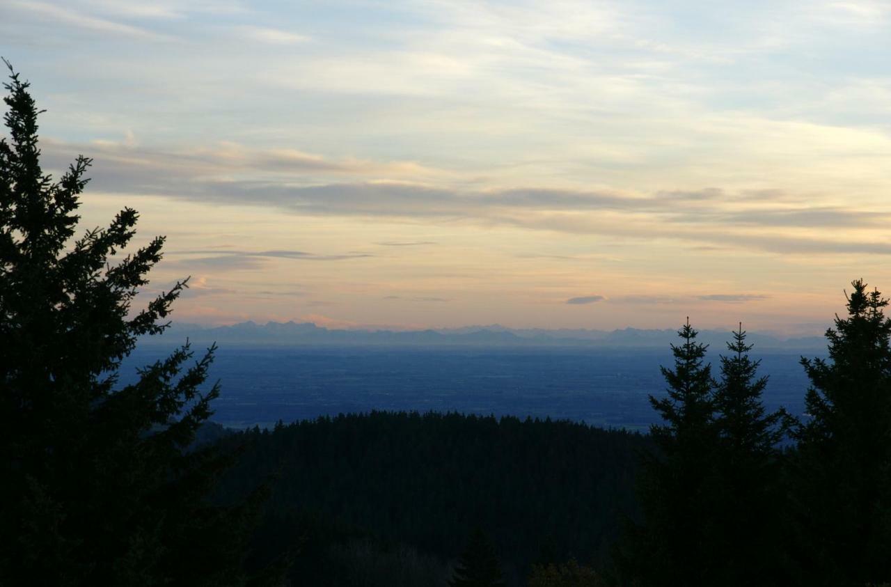 Apartmán Alpenblick Sankt Englmar Exteriér fotografie